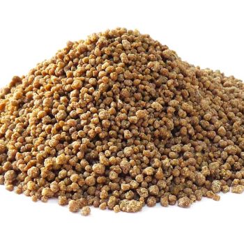 bhajra